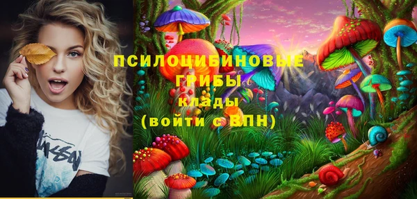 гашик Белокуриха