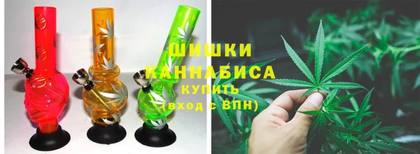 гашик Белокуриха