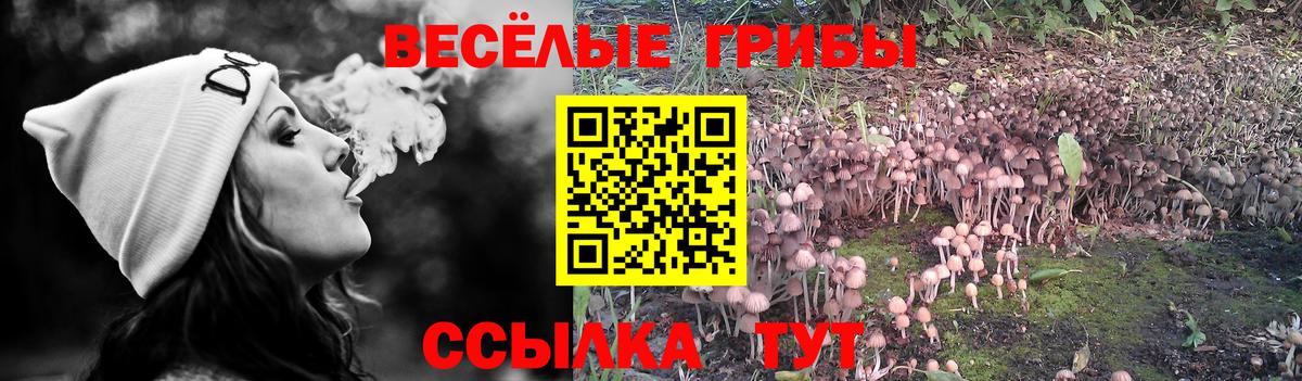 Кузнецк  Псилоцибиновые грибы Magic Shrooms  Вход с VPN 